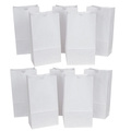 Rainbow Rainbow Kraft Bag, White, 6in x 3.63in x 11in, PK100, Material: Paper P0072005